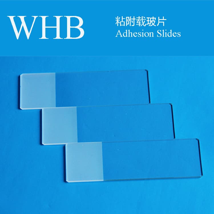 Colorful Micro  Adhesion Slides